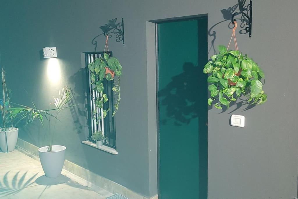 XX Miglia Apartments Katanya Dış mekan fotoğraf
